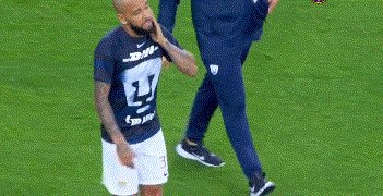 1659909058689020327.gif 动画 (3323).gif